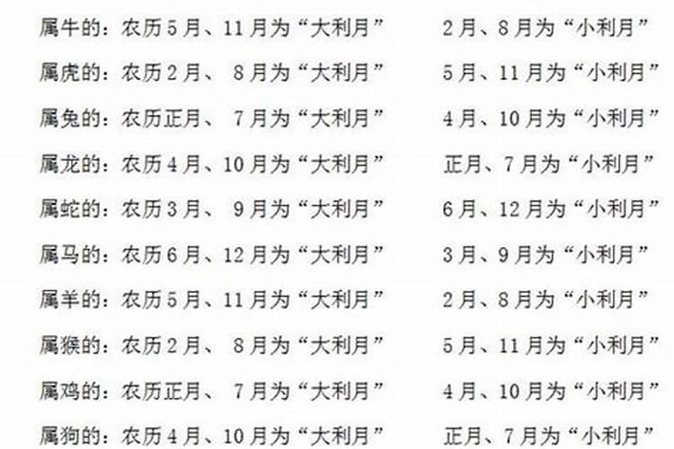 94年农历12月4日的幸运数字是几