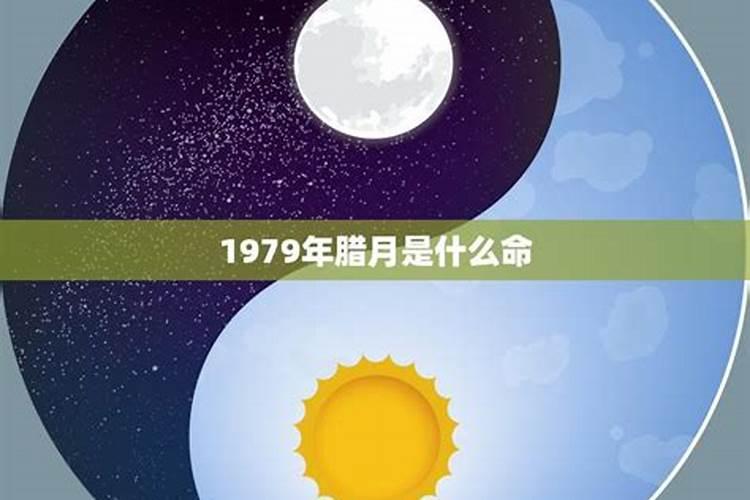 94年出生属狗的幸运数字和幸运颜色是什么