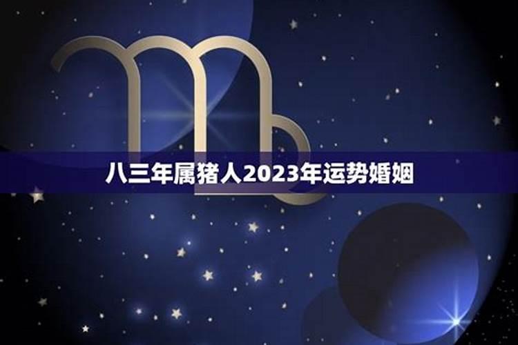 二零二三年属猪一九八三年的运势