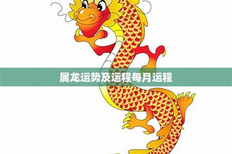 属龙的人2025年的运势及运程