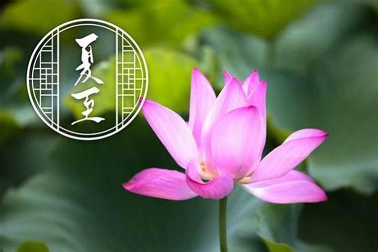 老年人夏季怎么养生 十三个细节要注意