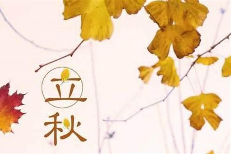 立夏有什么讲究