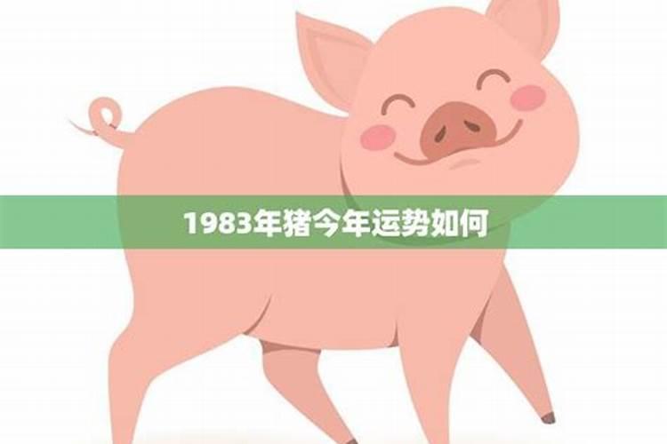 1983年属猪男在2025年运势