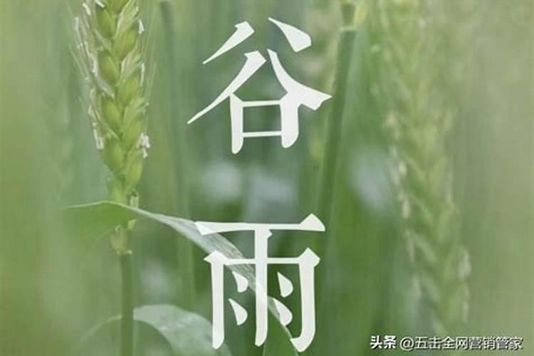 春分和谷雨之间的节气是什么