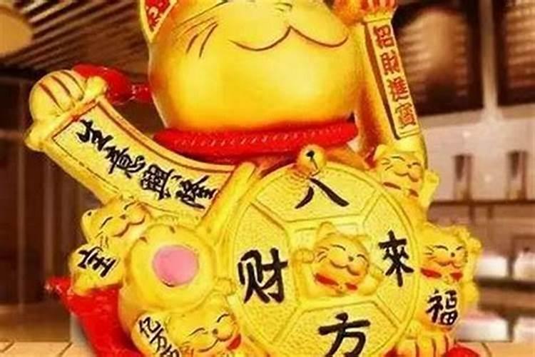 我是87年农历 5月 13日的,生肖兔,今年本命年. 就今年过来这两个月,感觉...