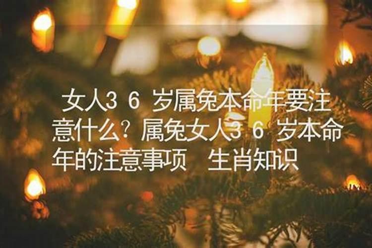87年兔,2023运势怎么样？