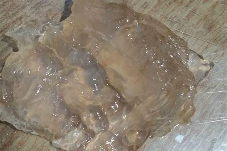 哪里快速收购野生太岁