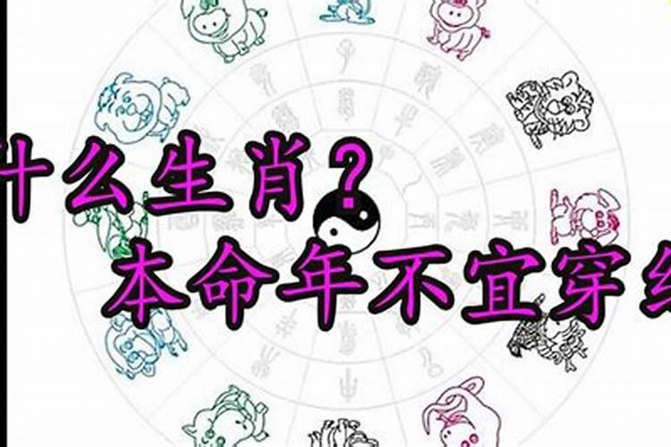 属狗的2025犯太岁吗