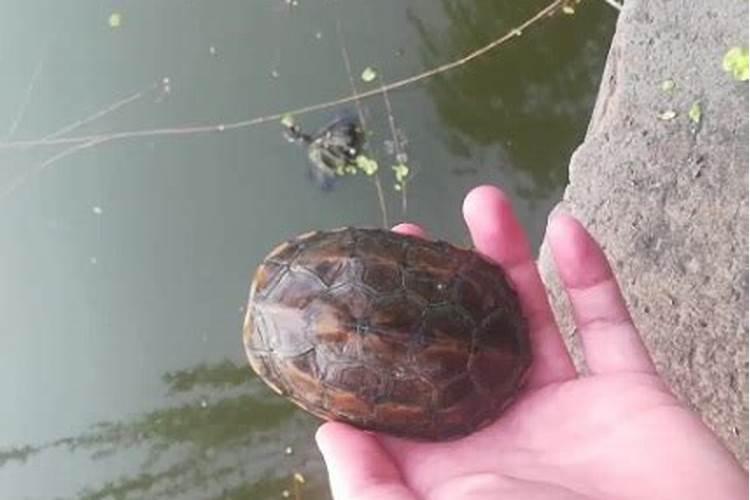 犯小人诸事不顺怎么破解