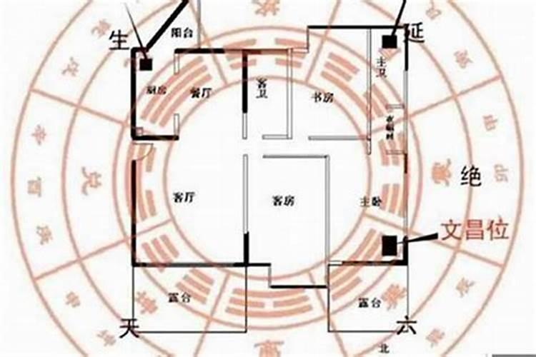 虎女2025年的每月运势及运程