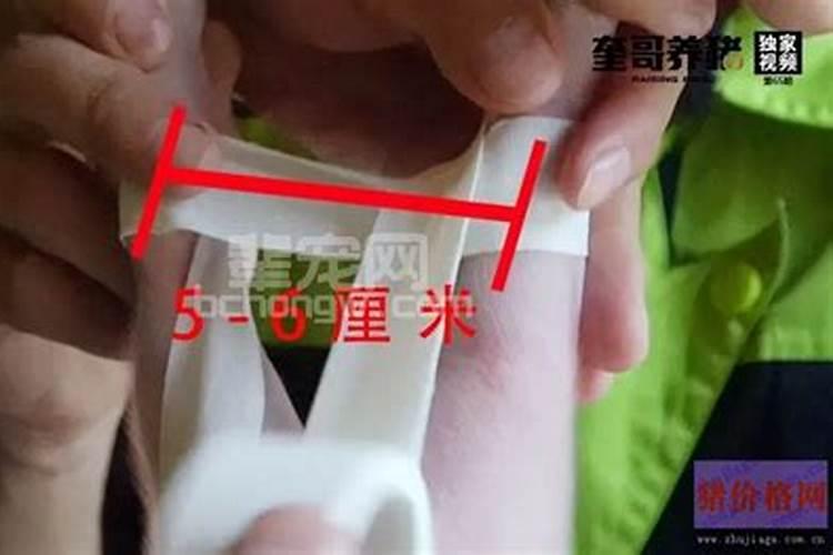 ...2019年9月16日阴历八月十八早上一点二十五出生,根据生辰八字起...