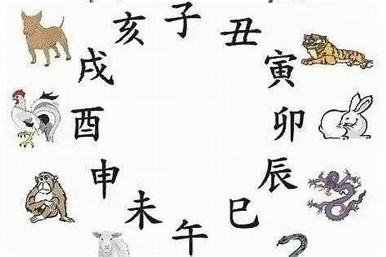 属兔和属鸡的合适吗？