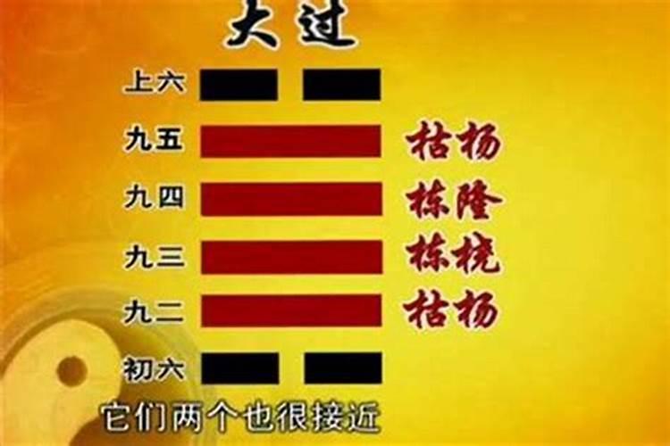 属蛇人犯太岁的化解方法