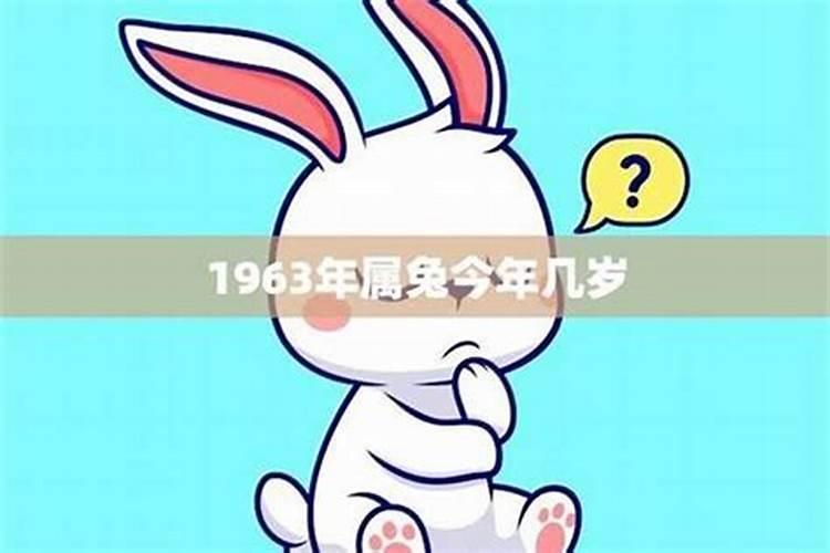 63年的兔2025年的运势怎么样