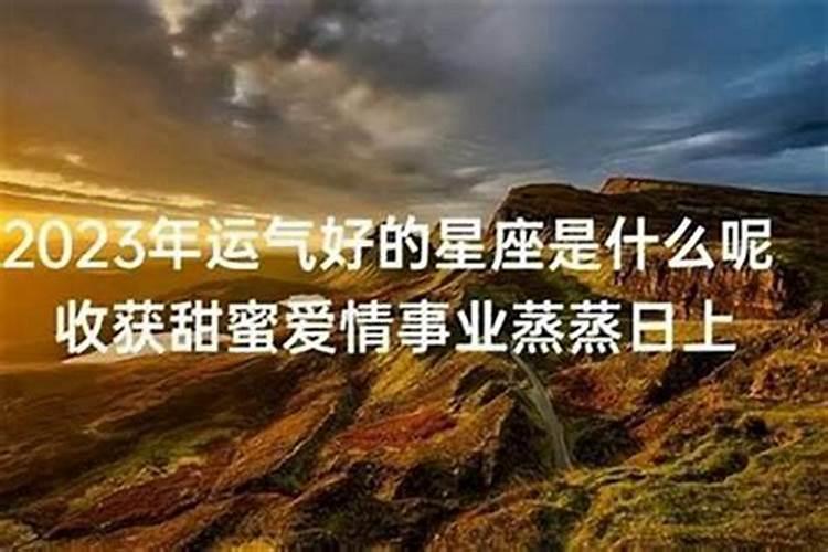 事业运不好但财运好什么意思