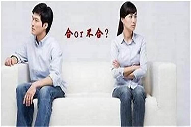 浙江人端午节吃什么