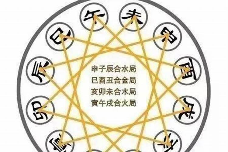温州端午节的草头汤有哪些种类和用途？