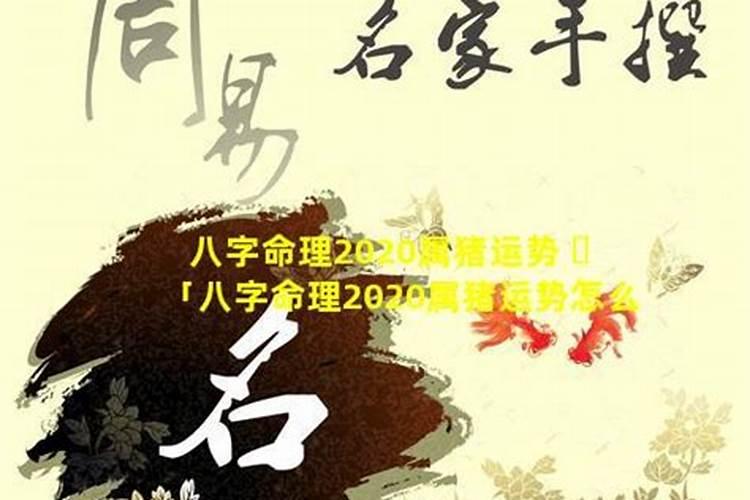 演员童正维个人简介
