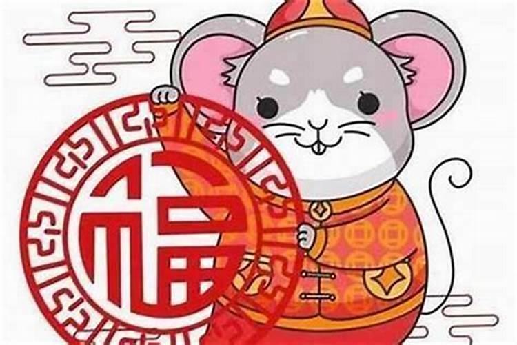 属鼠本命年的大忌是什么