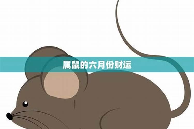 生肖鼠2024年6月运势