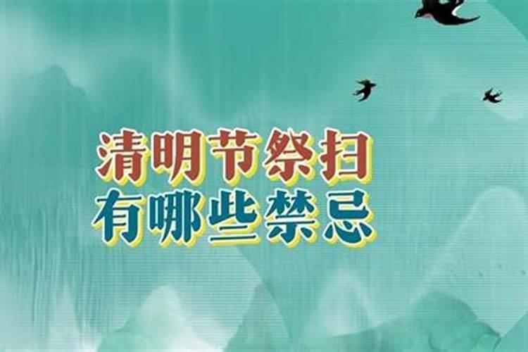 清明节有什么禁忌 清明节有哪些传统风俗活动