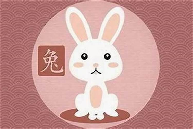 属兔的跟什么属相犯冲