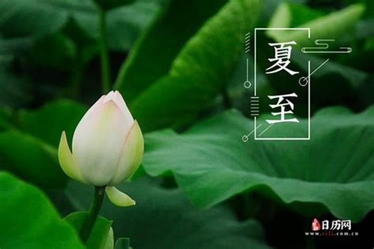 2025年夏至是几月几号