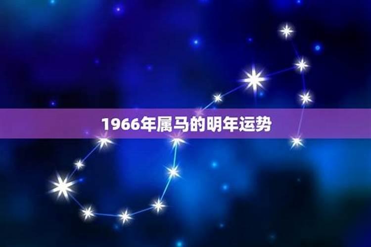 南方冬至的风俗吃什么