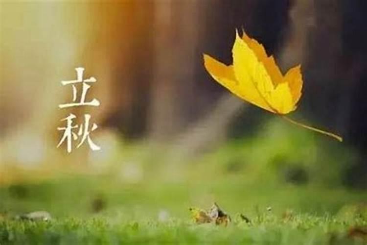 本命年的红色内衣应该谁买