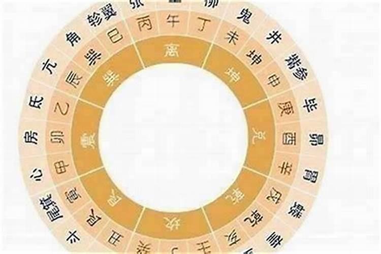 94年属狗人每月运势