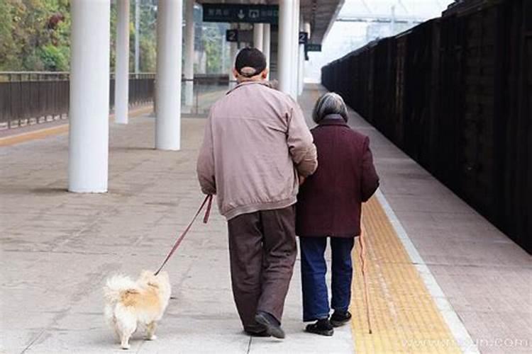 农历腊月出生的人到底属什么 腊月出生五行属性？