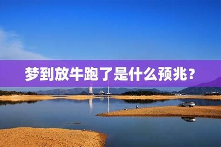 怎样八字算婚姻状况 看你的姻缘适配度