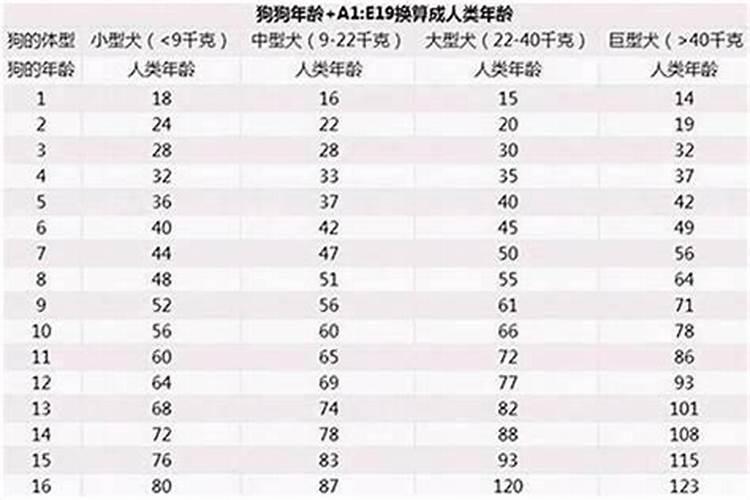 梦见老家房子的寓意