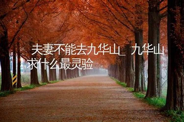 九华山征婚去哪个寺庙？九华山求的是什么？