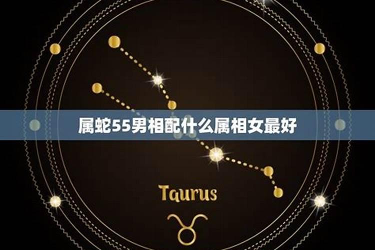 属蛇男最佳婚配属相