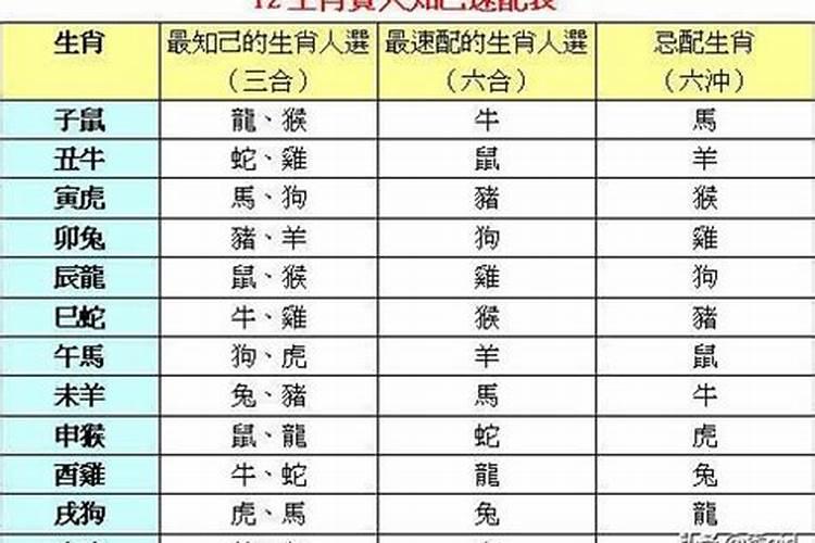 梦见坟塌棺材露出的预兆