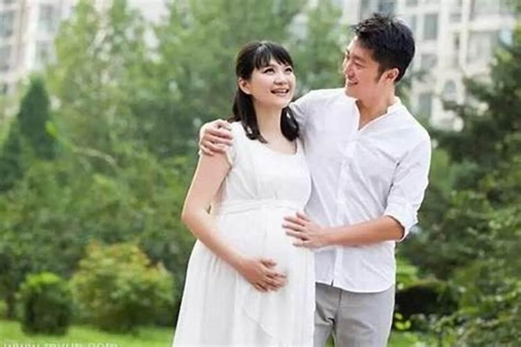 属猪人的最佳婚配属相