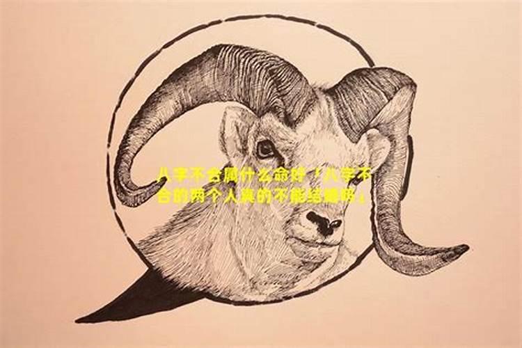 八字不合硬结婚会怎样