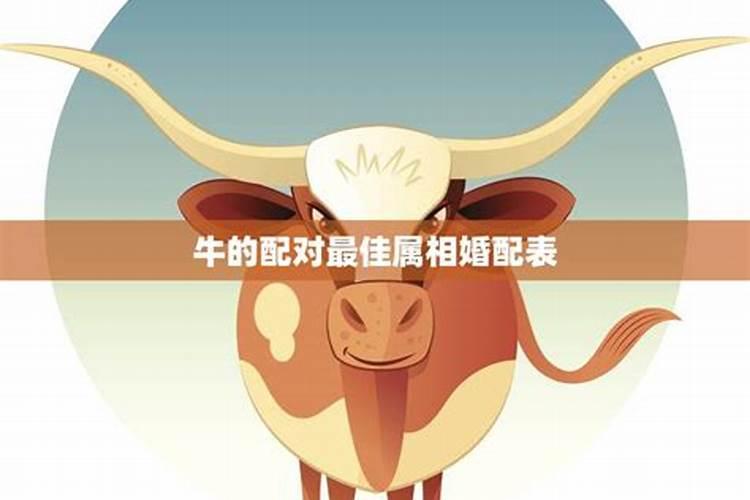 女孩子可以做多少次人流