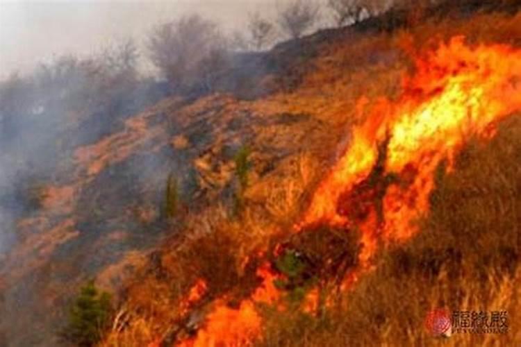 山头火和路旁土婚配 两命相合运势旺盛