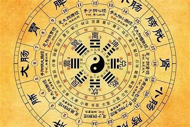 病人梦见吃土豆