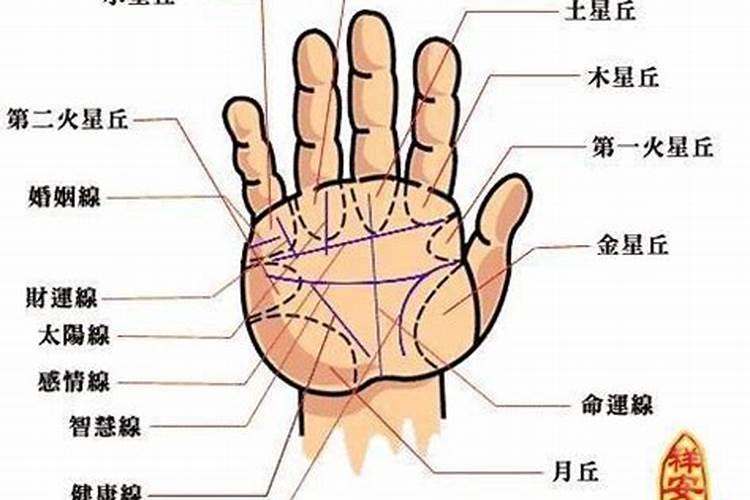 什么是股票生命线？股票生命线怎么看