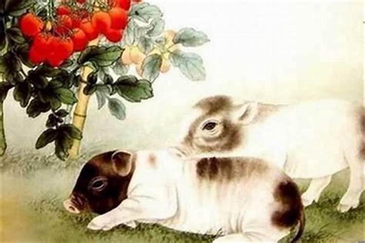 鸡狗八字有合的吗金鸡玉犬破解之法