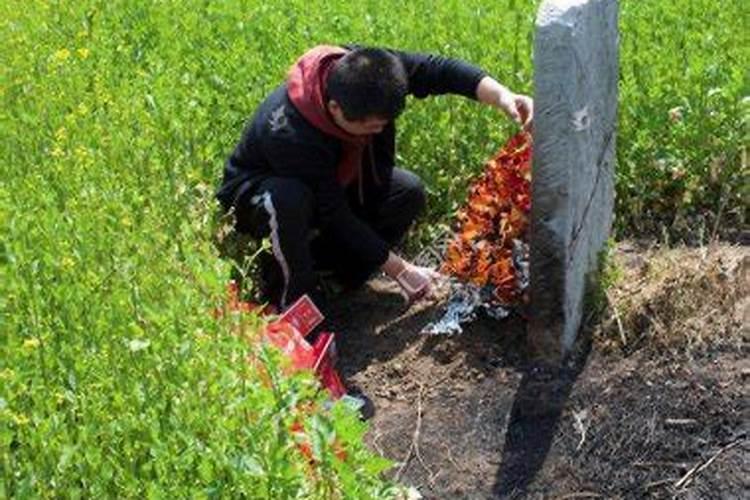 五行缺什么属羊的79年三月女的命运生辰八字？