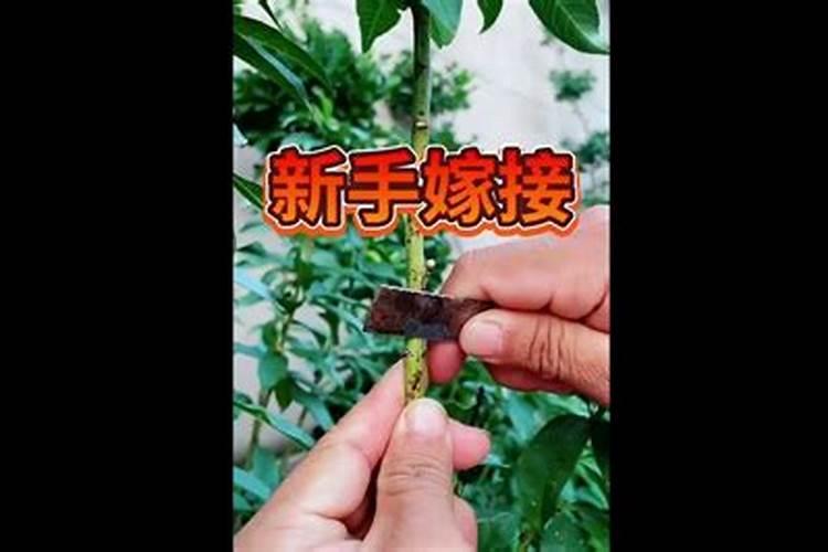命中率计算公式是什么？