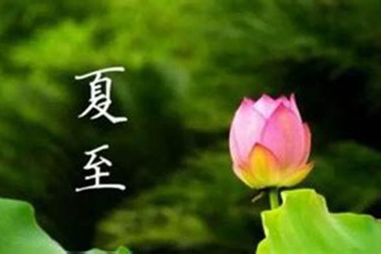 夏至是什么季节的节气