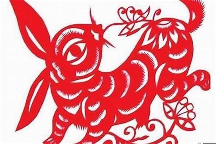 属兔人最难熬的两年