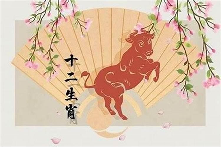 正月初五出生的男命这天出生的男孩命运如何