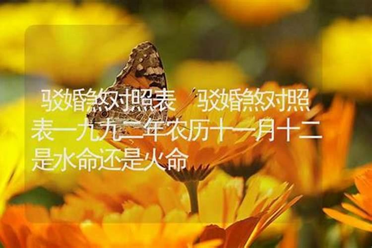 八字分析:双胞胎的八字一样,命一样吗
