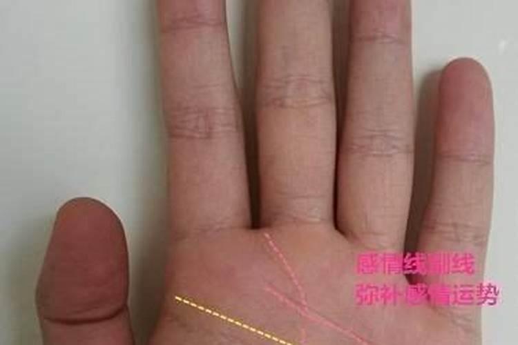 假断掌的男人的命运图 假断掌的男人的命运